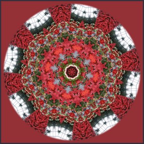 4236633243_736038a7eb_b